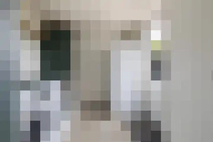 Ophuystrawei 23 Driezum thumbnail 25