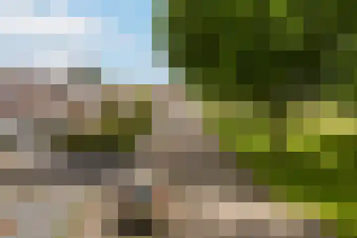 Ophuystrawei 23 Driezum thumbnail 4