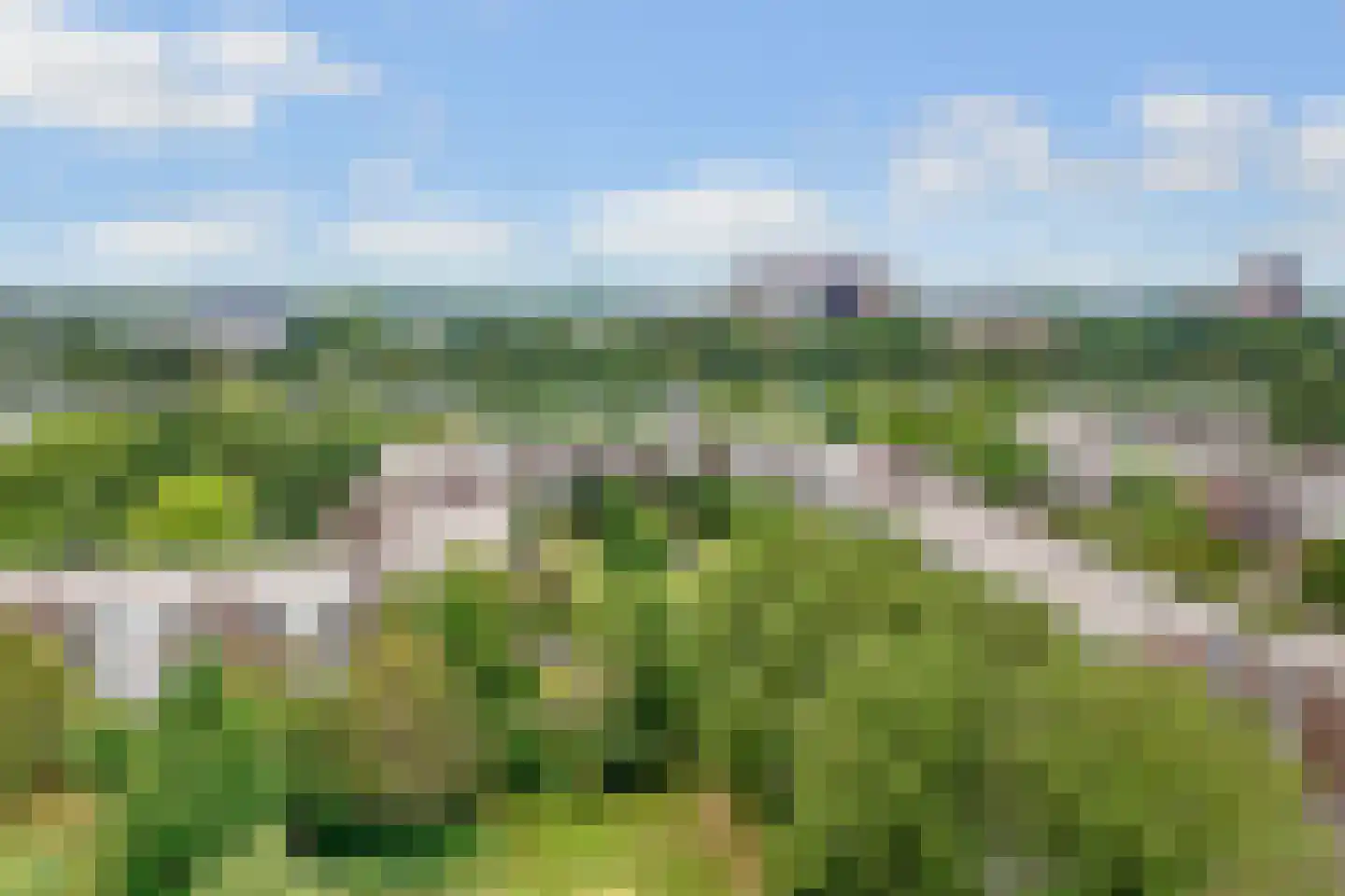 Opijnenhof 46 Amsterdam thumbnail 29