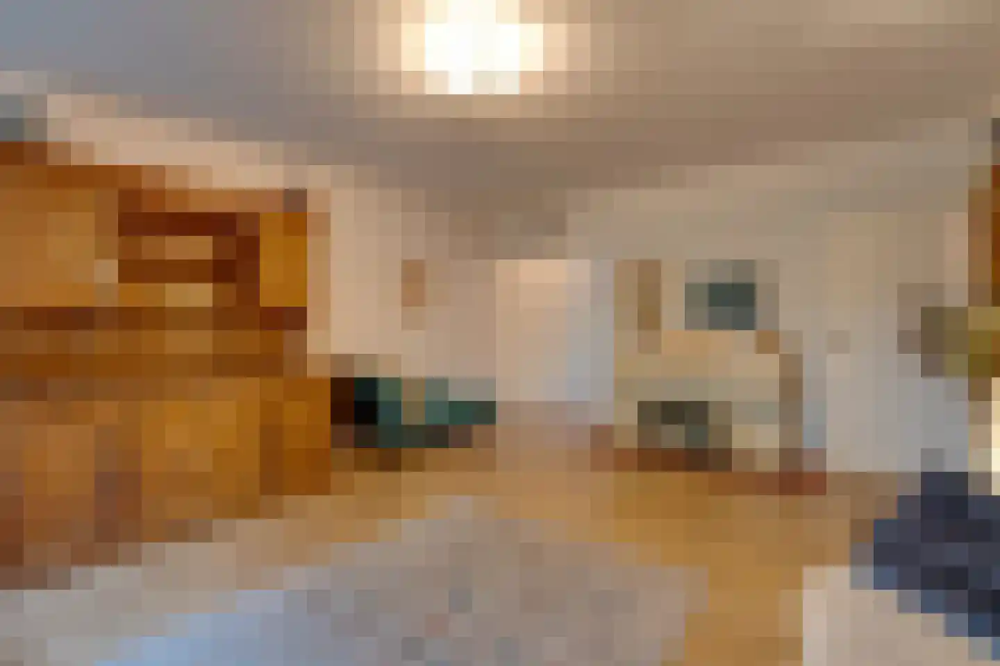 Opijnenhof 70 Amsterdam thumbnail 16