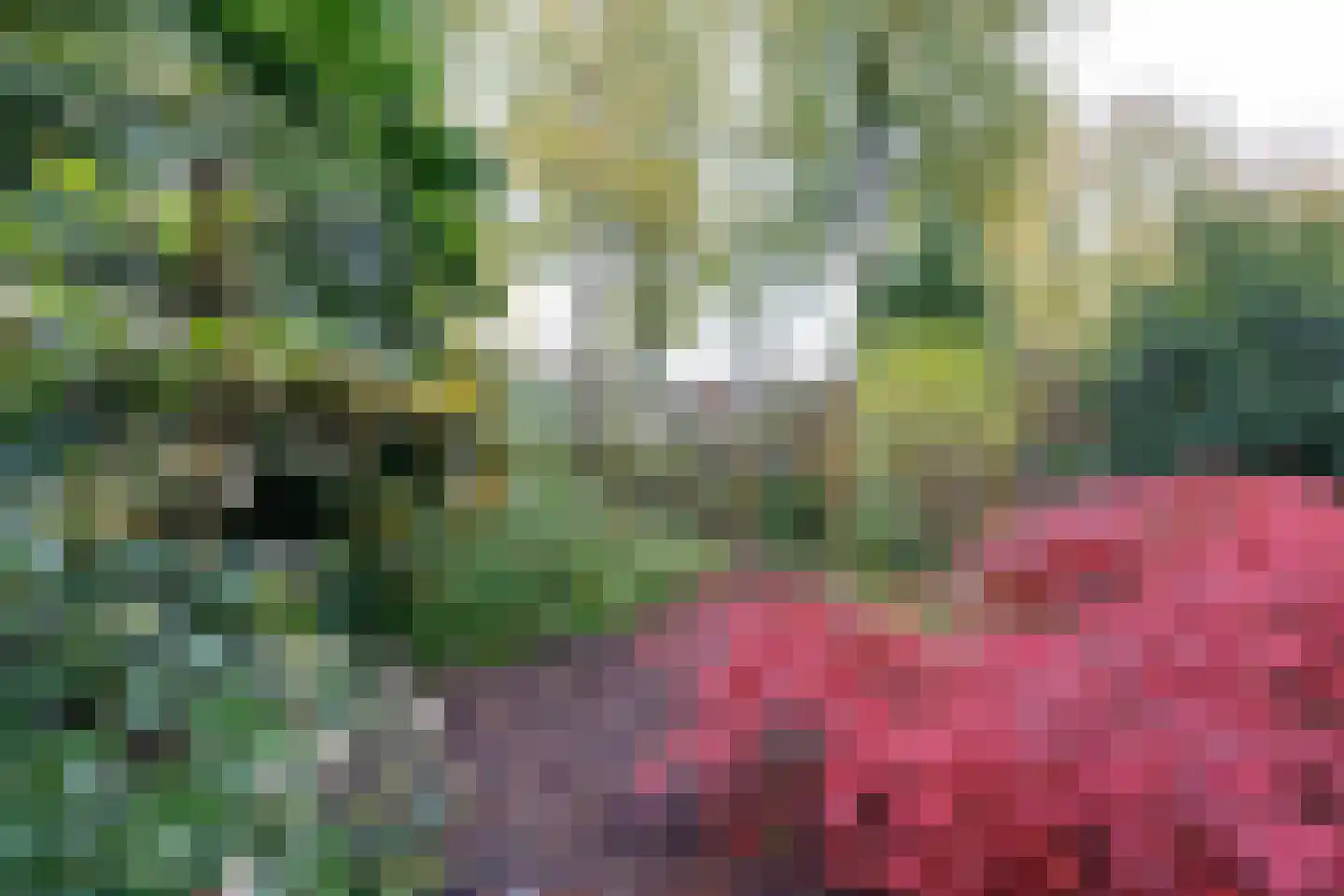 Opijnenhof 70 Amsterdam thumbnail 23