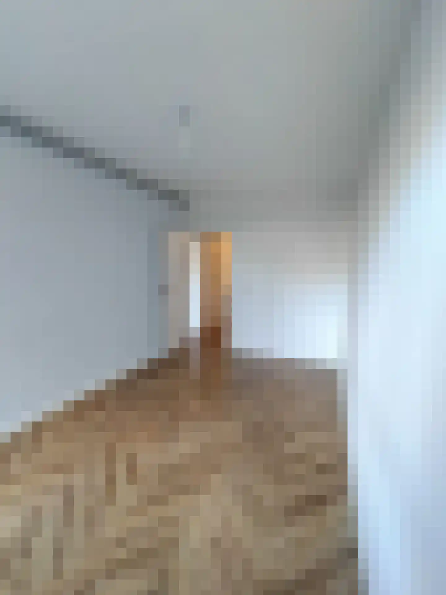 Opijnenhof 70 Amsterdam thumbnail 31