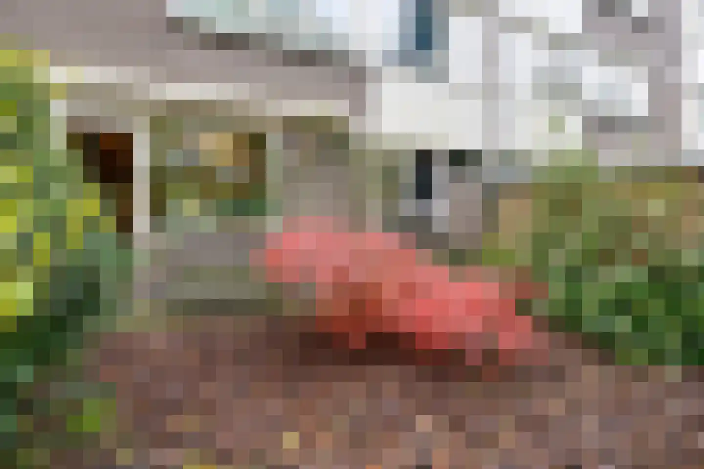 Opijnenhof 70 Amsterdam thumbnail 4