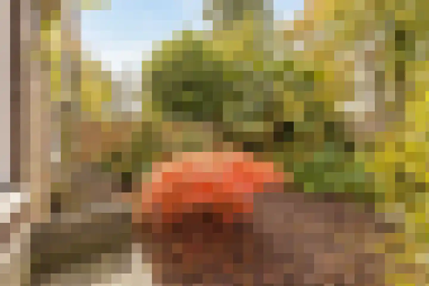 Opijnenhof 70 Amsterdam thumbnail 4