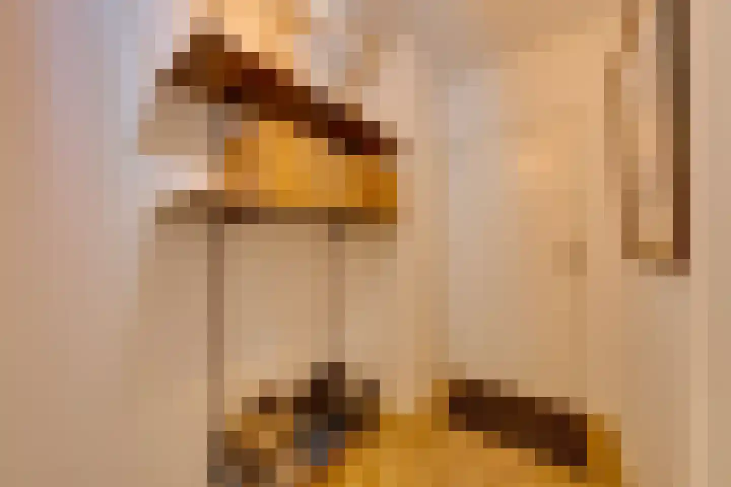 Opijnenhof 70 Amsterdam thumbnail 7