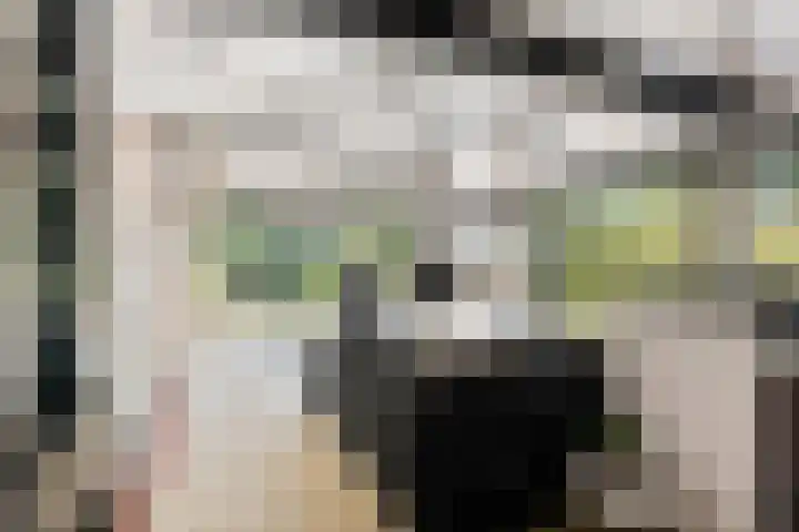 Opkamer 2 Zwaag thumbnail 10