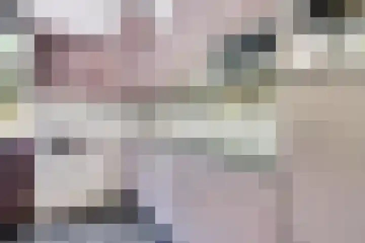 Opkamer 2 Zwaag thumbnail 19