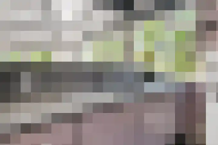 Opkamer 2 Zwaag thumbnail 20