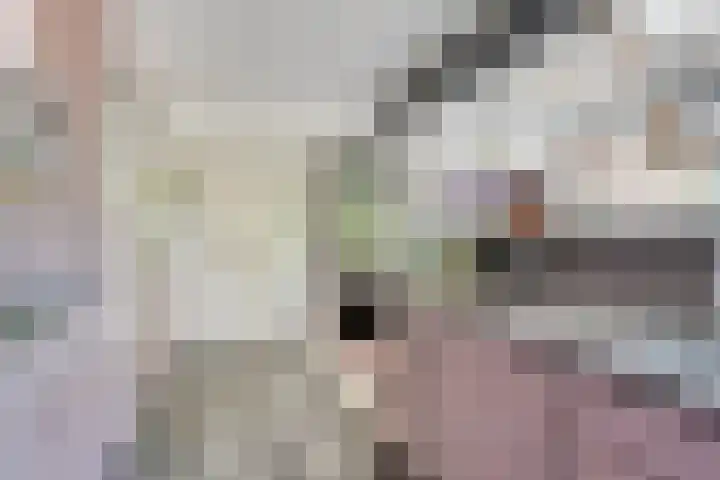 Opkamer 2 Zwaag thumbnail 21