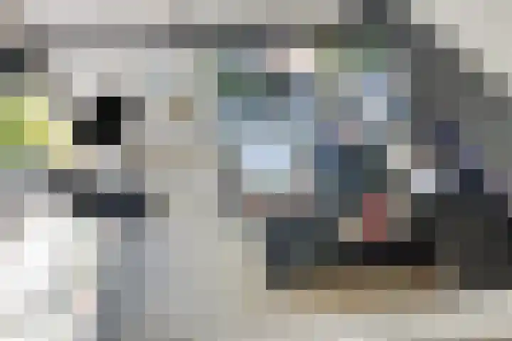 Opkamer 2 Zwaag thumbnail 22