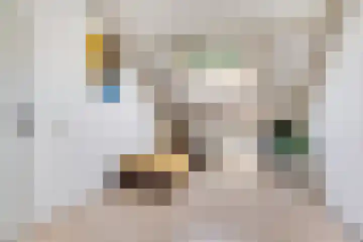 Opkamer 2 Zwaag thumbnail 26