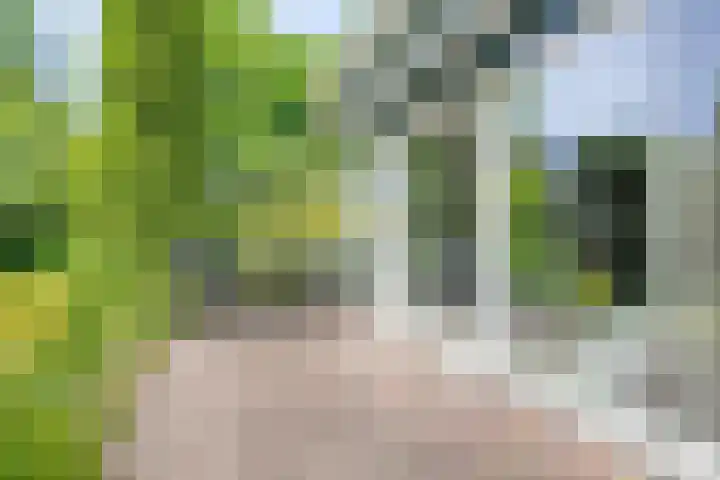 Opkamer 2 Zwaag thumbnail 30