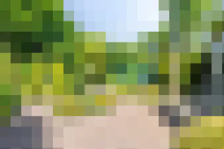 Opkamer 2 Zwaag thumbnail 31