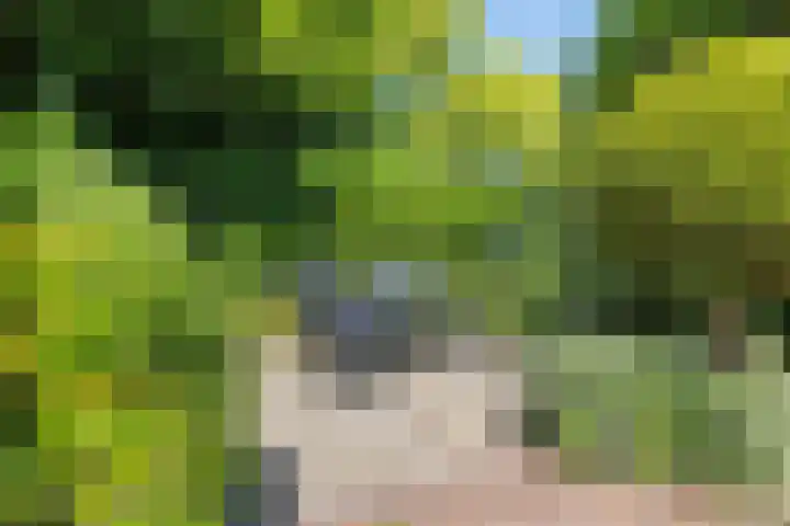 Opkamer 2 Zwaag thumbnail 33