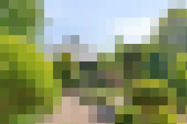 Opkamer 2 Zwaag thumbnail 34