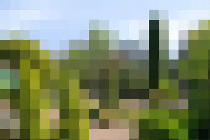 Opkamer 2 Zwaag thumbnail 35