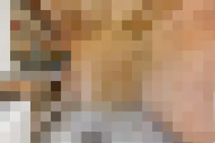Opkamer 2 Zwaag thumbnail 36