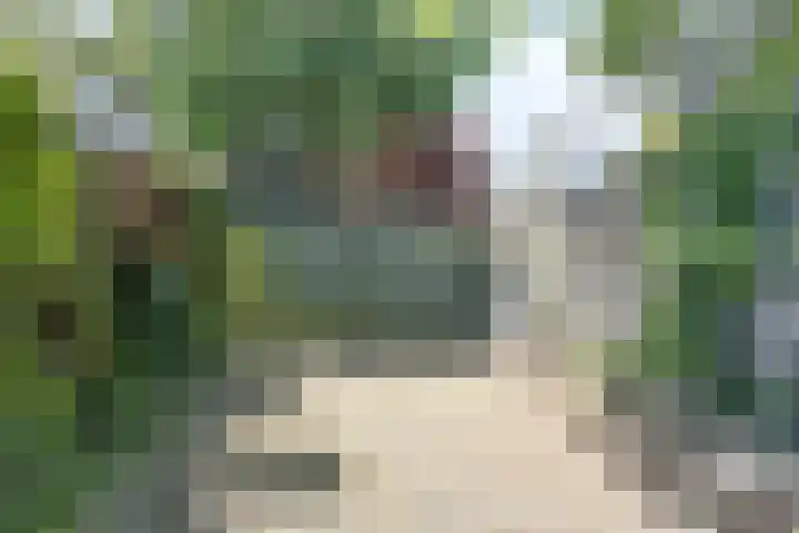 Opkamer 2 Zwaag thumbnail 37