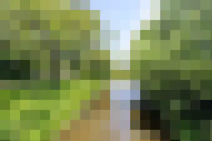 Opkamer 2 Zwaag thumbnail 42