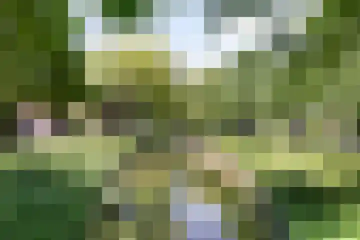 Opkamer 2 Zwaag thumbnail 43