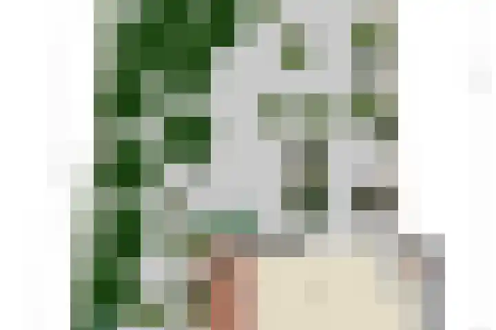 Opkamer 2 Zwaag thumbnail 44