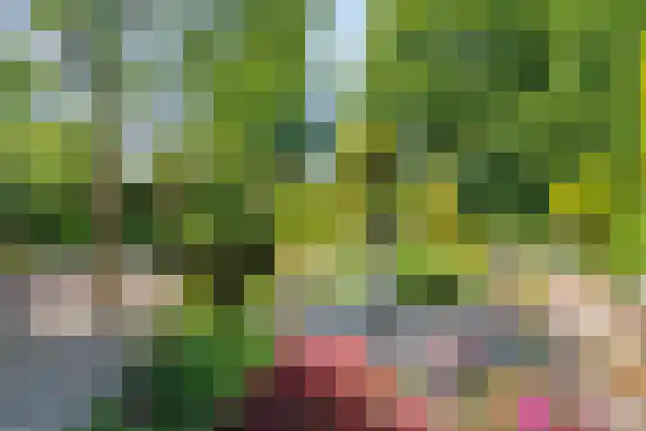 Opkamer 2 Zwaag thumbnail 5