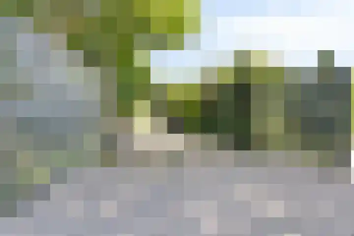 Opkamer 2 Zwaag thumbnail 6