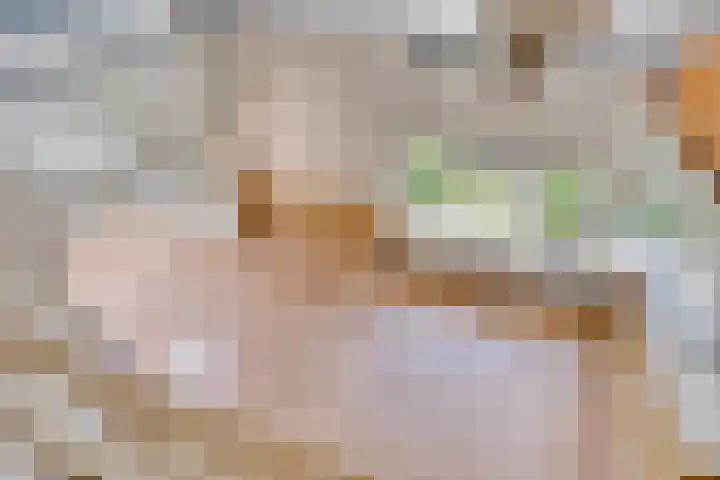 Opkamer 6 Zwaag thumbnail 13