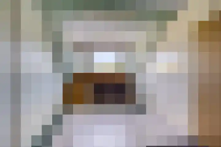 Opkamer 6 Zwaag thumbnail 22