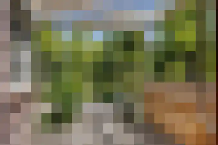 Opkamer 6 Zwaag thumbnail 28