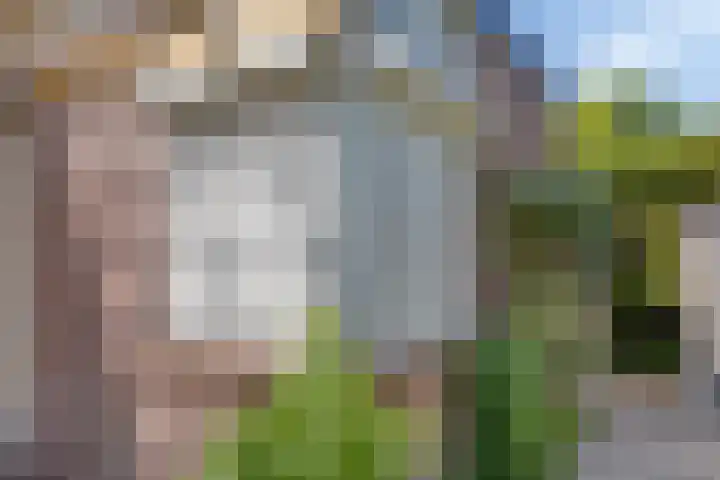 Opkamer 6 Zwaag thumbnail 30