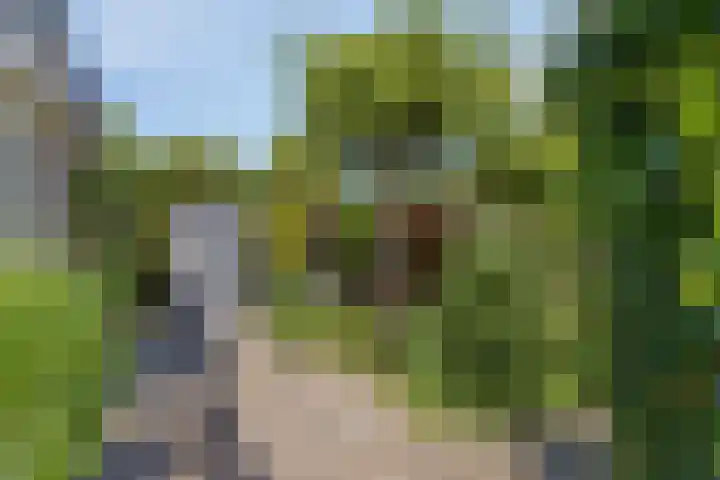 Opkamer 6 Zwaag thumbnail 31