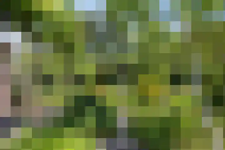 Opkamer 6 Zwaag thumbnail 34