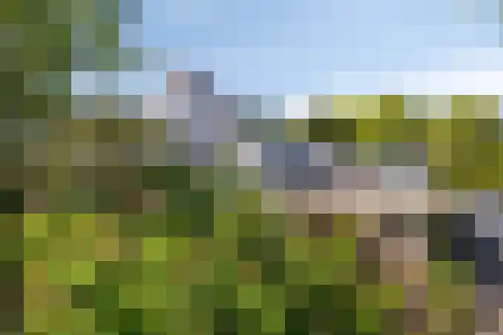 Opkamer 6 Zwaag thumbnail 35
