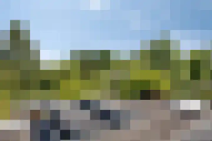 Opkamer 6 Zwaag thumbnail 36