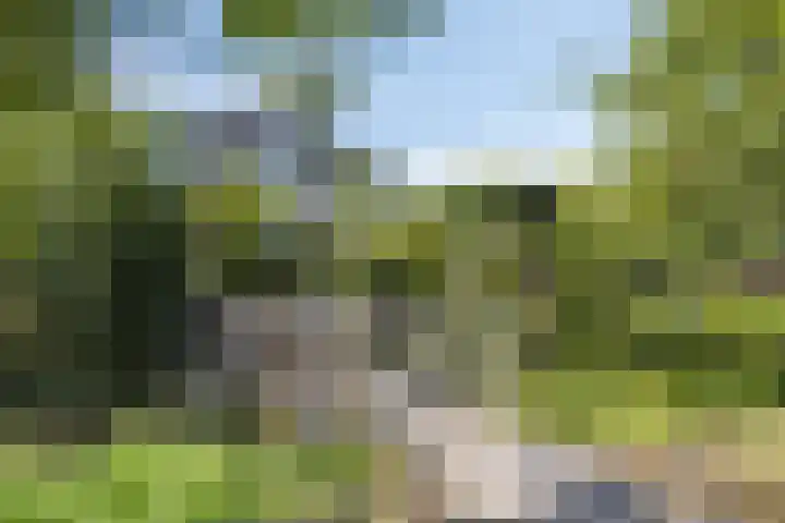 Opkamer 6 Zwaag thumbnail 37
