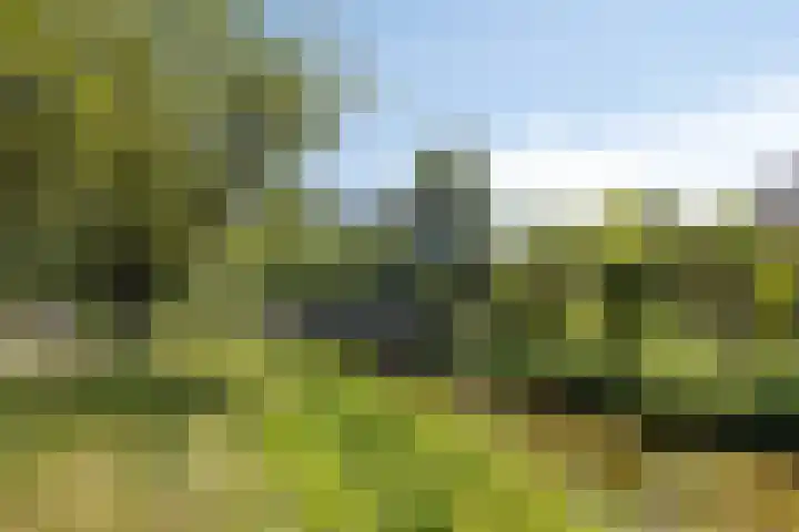 Opkamer 6 Zwaag thumbnail 38