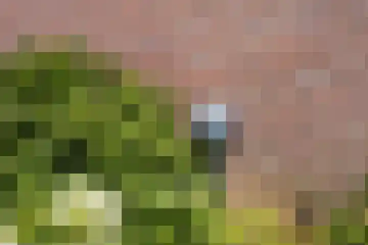 Opkamer 6 Zwaag thumbnail 39