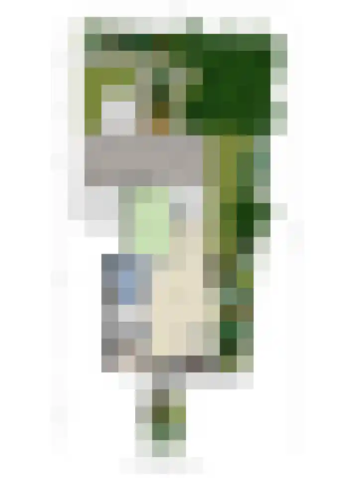 Opkamer 6 Zwaag thumbnail 41