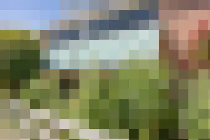 Opkamer 6 Zwaag thumbnail 5
