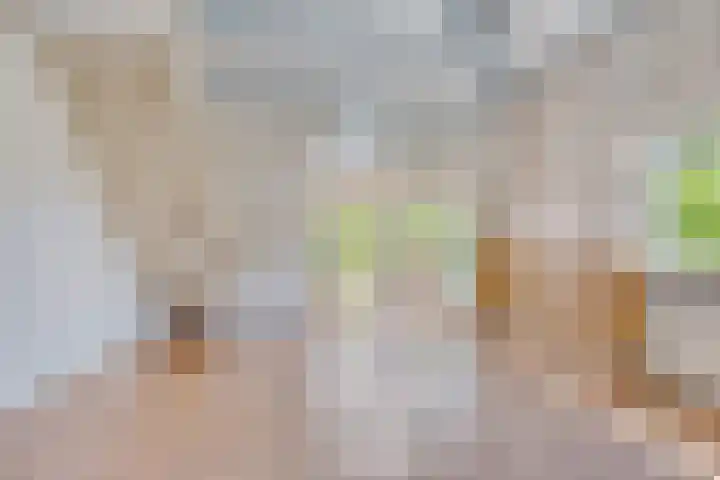 Opkamer 6 Zwaag thumbnail 8