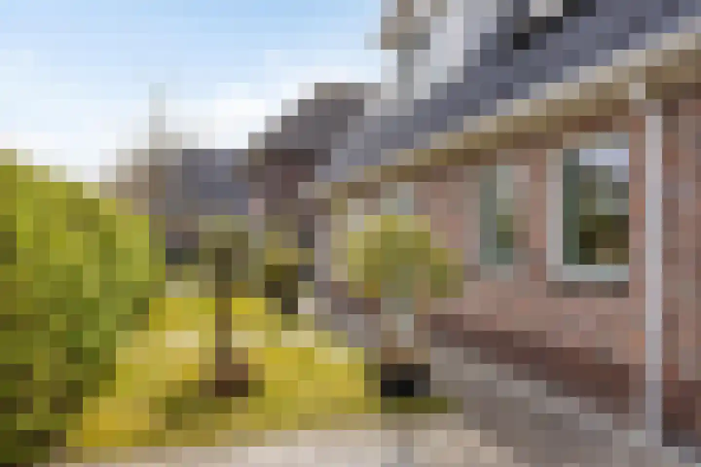 Opkeamer 6 Leeuwarden thumbnail 14