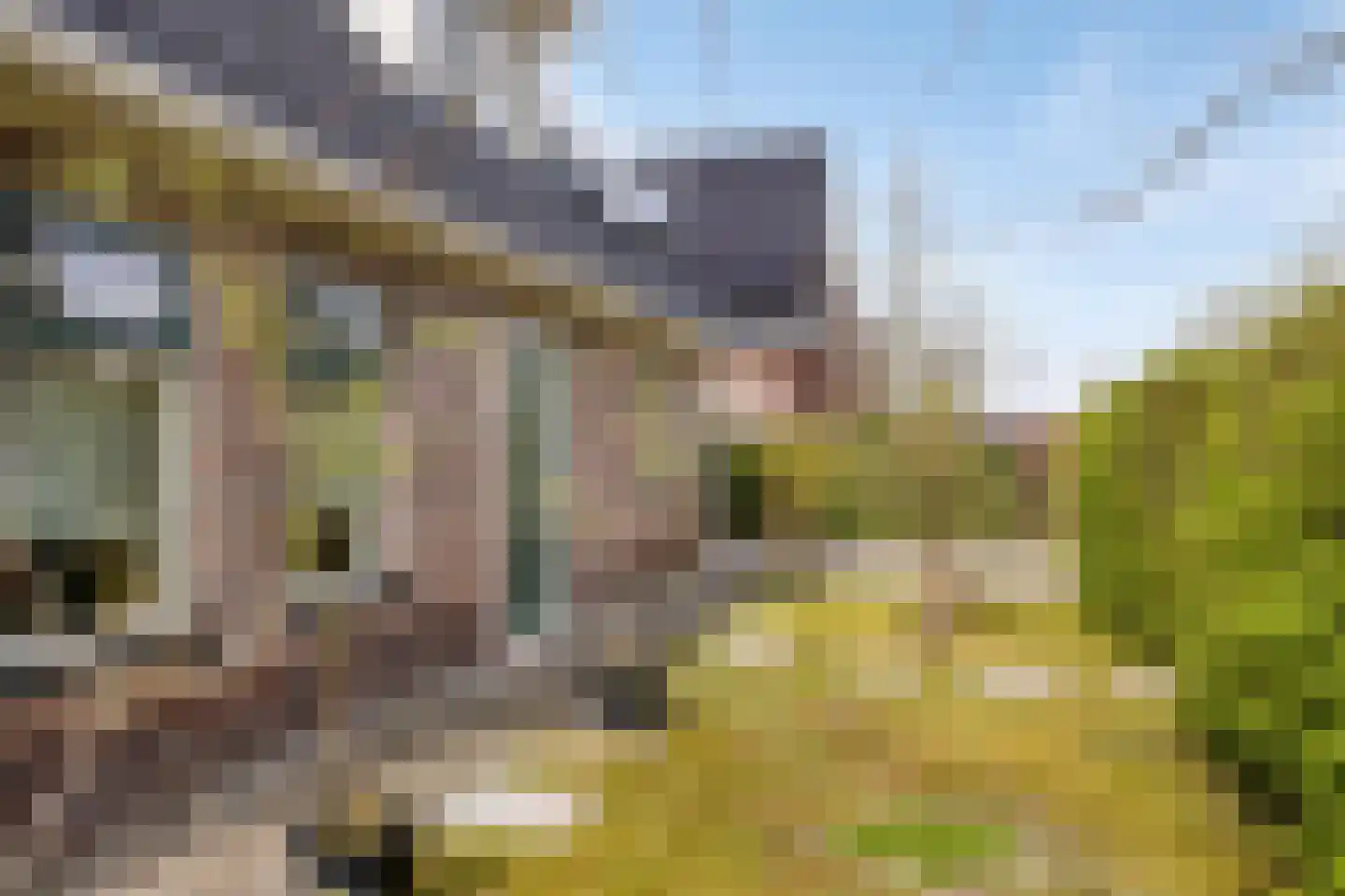 Opkeamer 6 Leeuwarden thumbnail 15