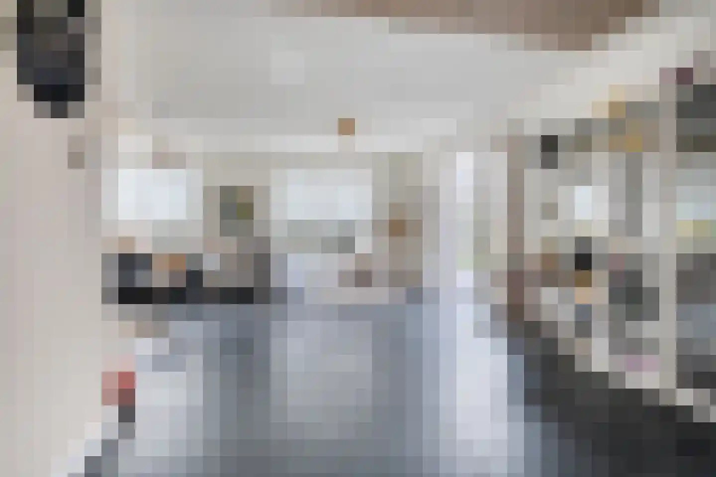 Opkeamer 6 Leeuwarden thumbnail 22