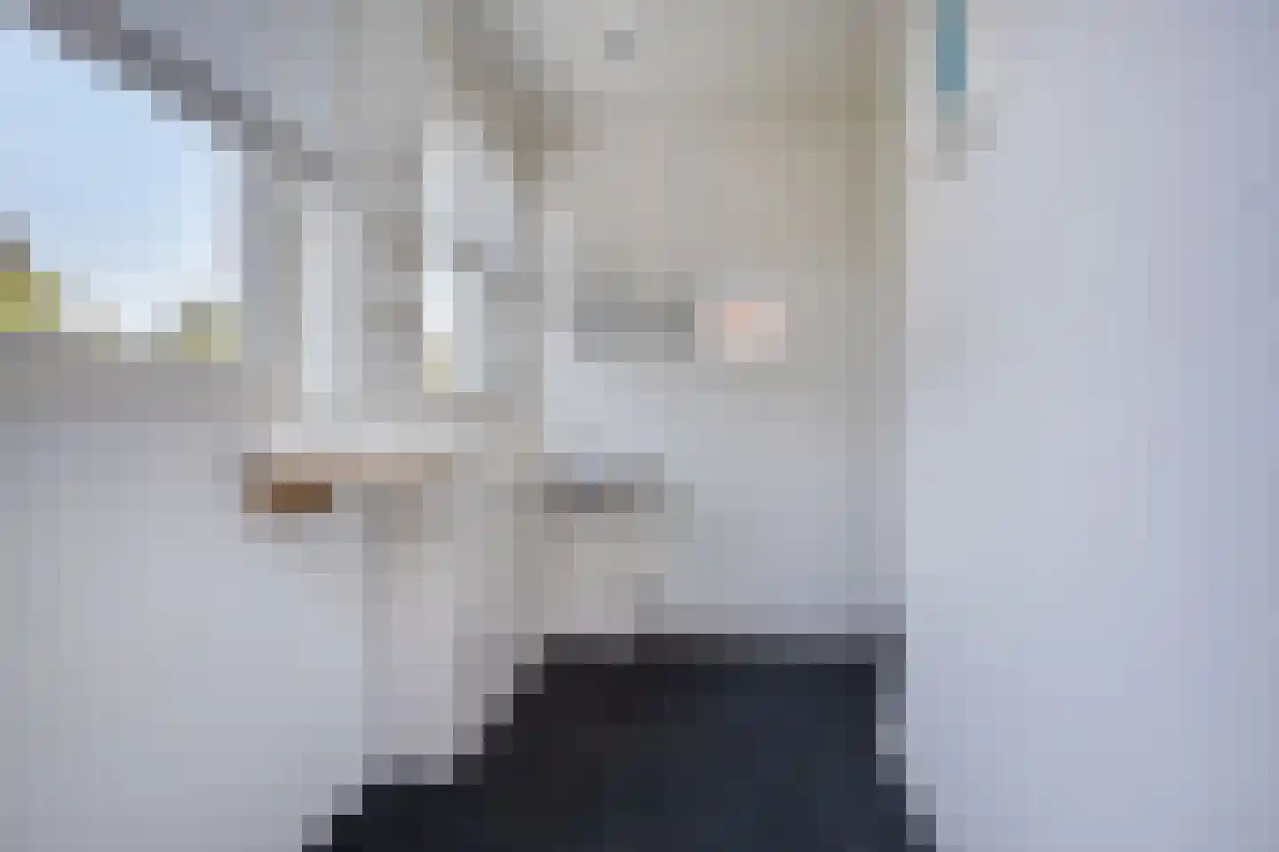 Opkeamer 6 Leeuwarden thumbnail 33