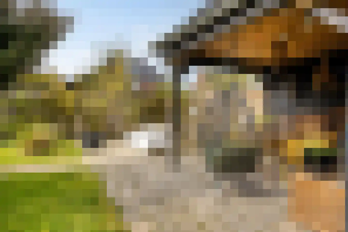 Opkeamer 6 Leeuwarden thumbnail 4