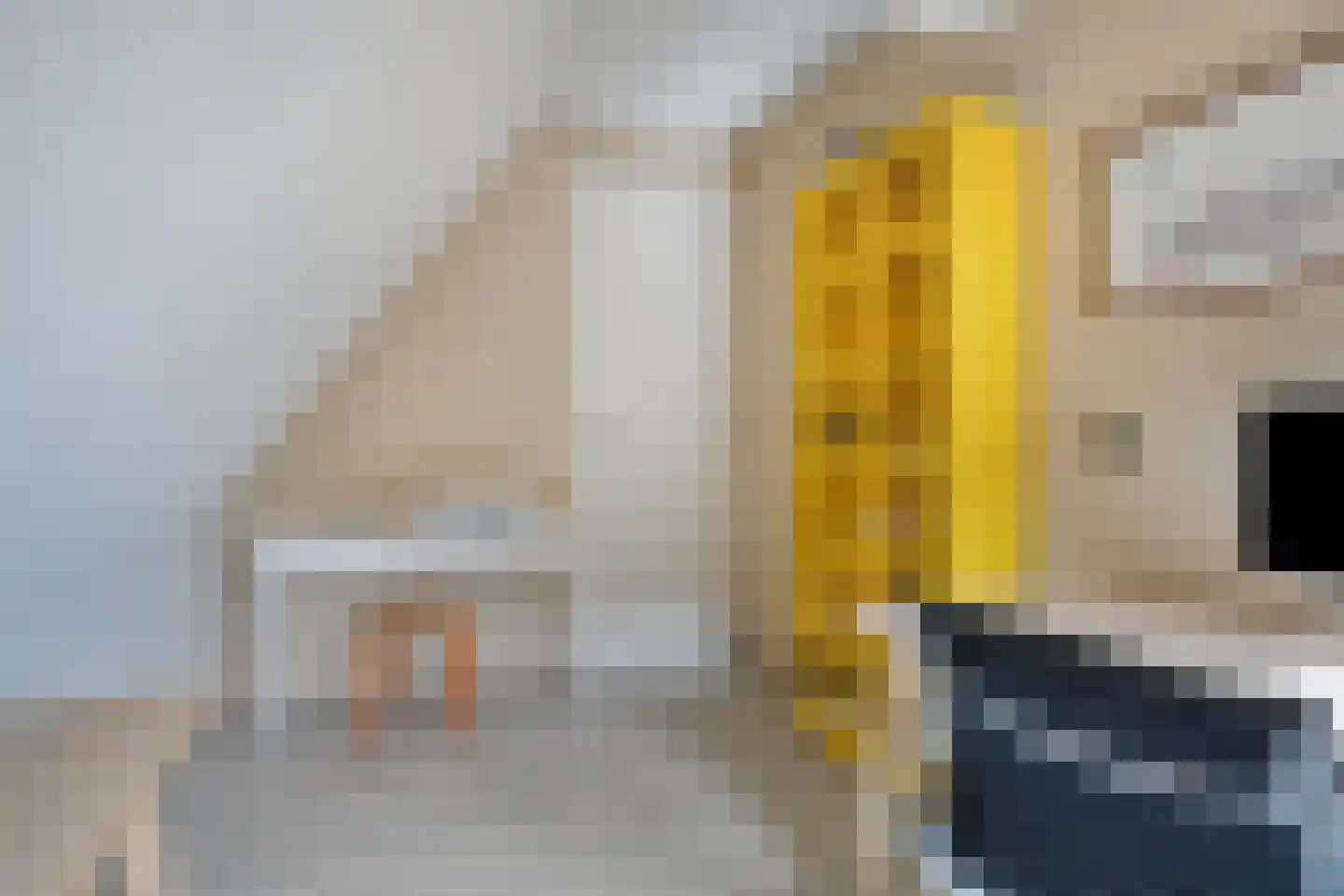 Opkeamer 6 Leeuwarden thumbnail 43