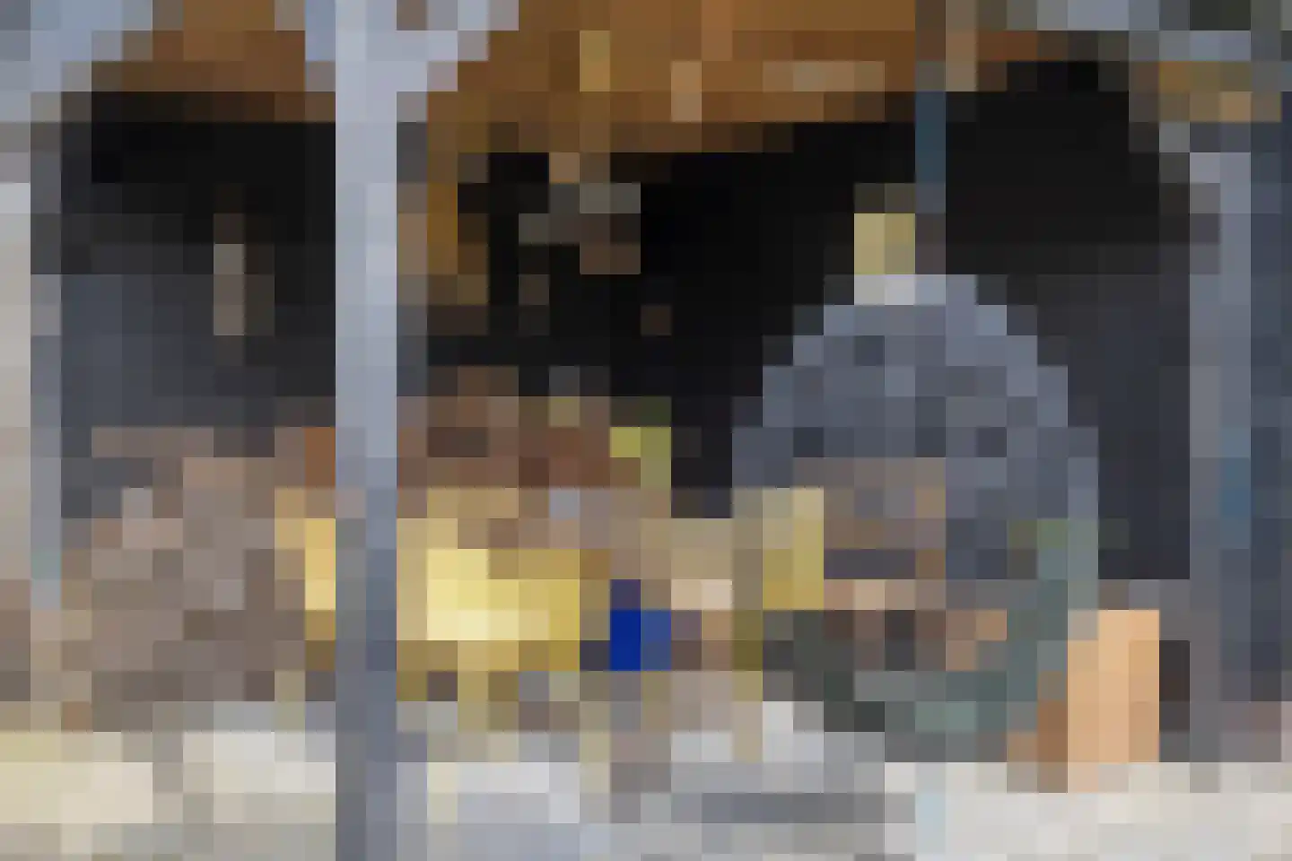 Opkeamer 6 Leeuwarden thumbnail 5