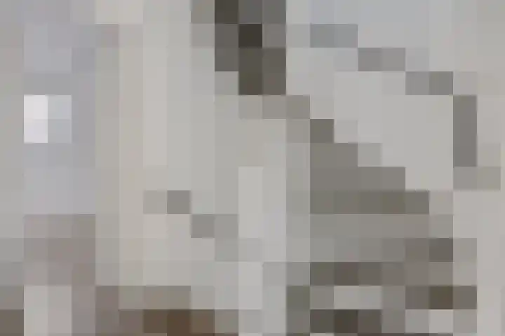 Oplegger 4 Deurne thumbnail 25