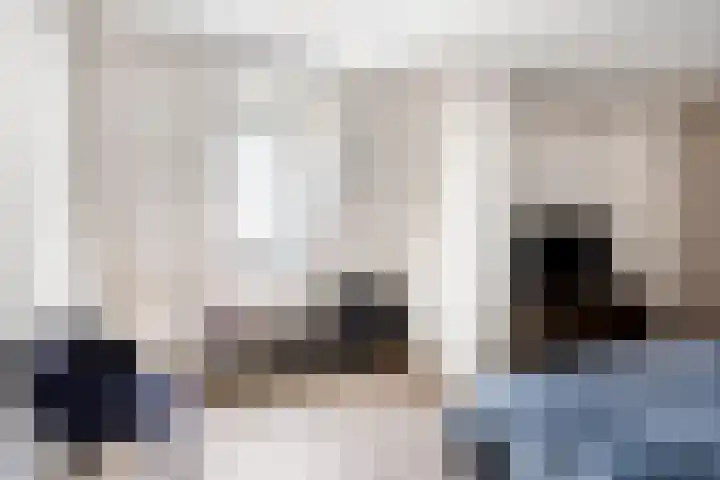 Oplegger 6 Deurne thumbnail 19